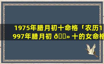 1975年腊月初十命格「农历1997年腊月初 🌻 十的女命格」